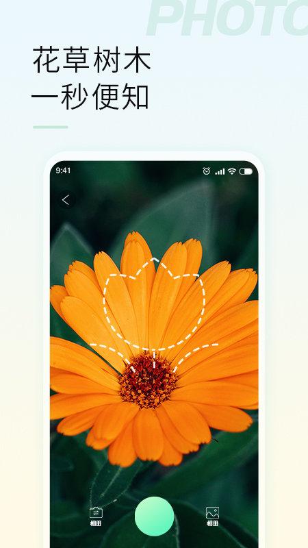 智能拍照识物app下载,智能拍照识物,识别app