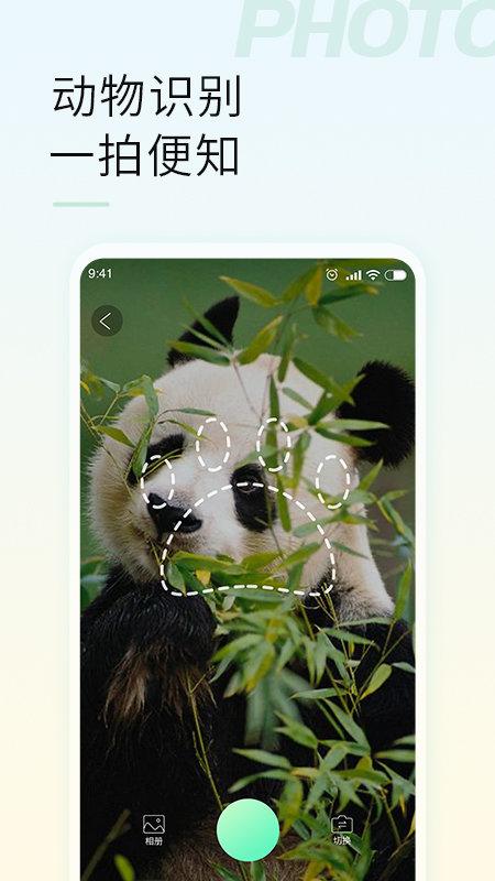 智能拍照识物app下载,智能拍照识物,识别app